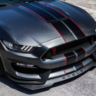 Mustang GT350R Made Track Ready with the Most Exclusive Car Care Products! 19