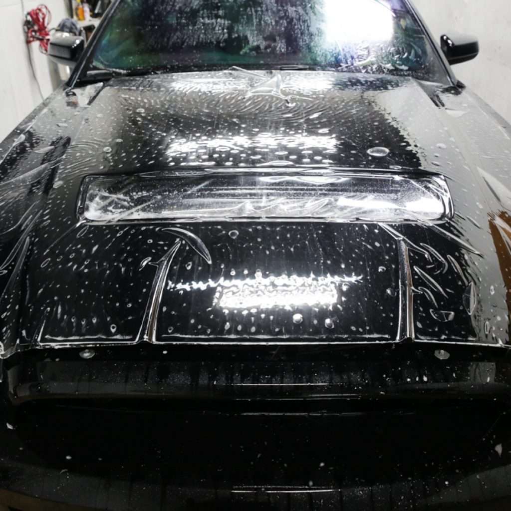 Ford Shelby GT500 Gets The Paint Protection it Deserves 8
