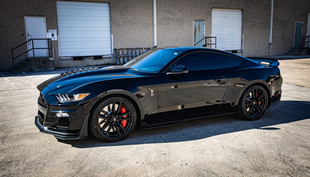 Mustang GT500 Gets Full Car PPF Wrap, Ceramic Coating & Window Tint